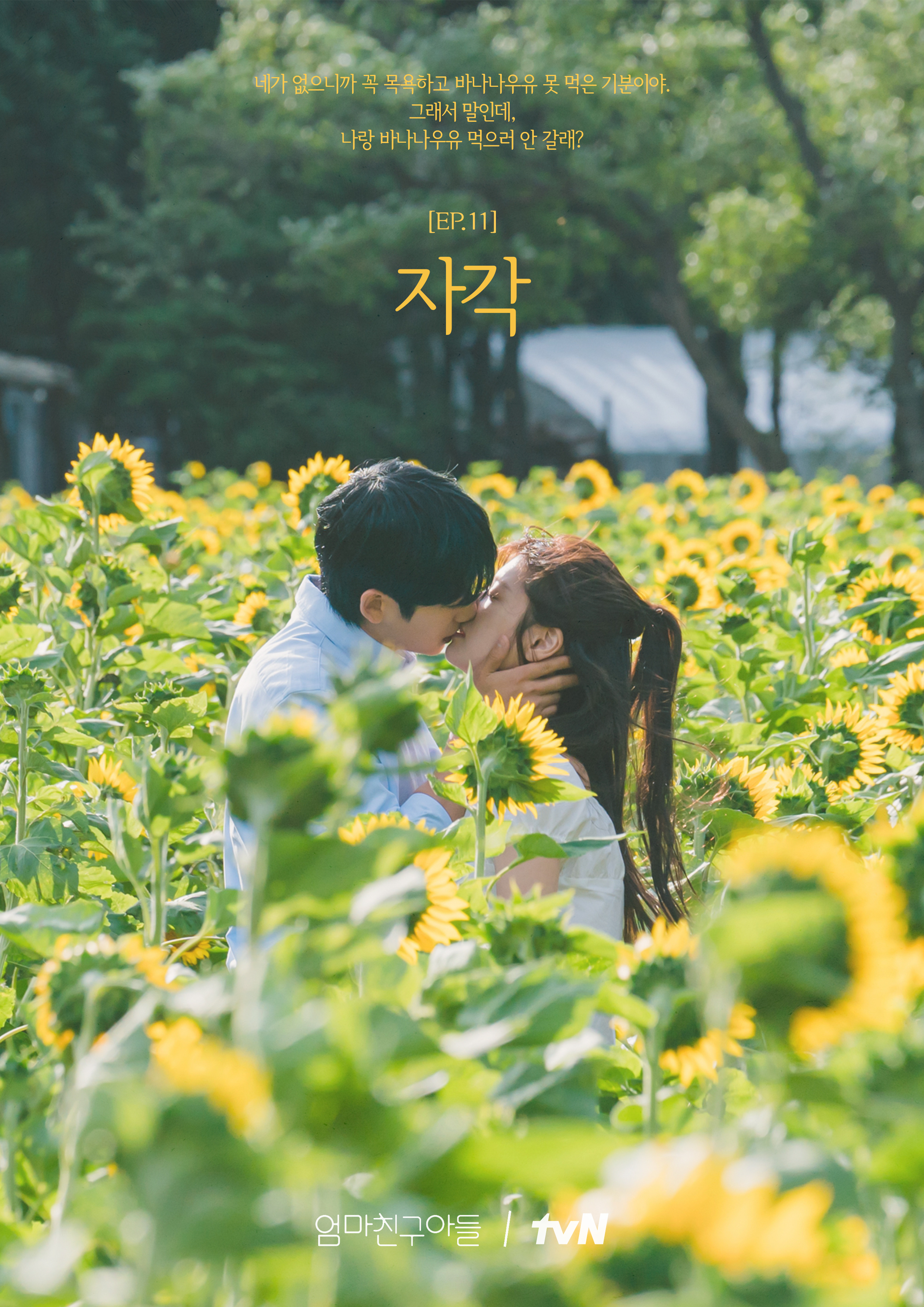 [잡담] 엄마친구아들 해바라기 밭 키스신은 내가 본 키스신 중에 젤 예쁨 | 인스티즈