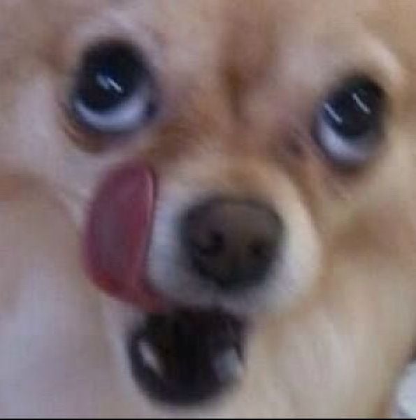 [잡담] 멋진신세계) 로코드에서 주인공이 동갑인거 이거이거 흔치 않거덩요 | 인스티즈