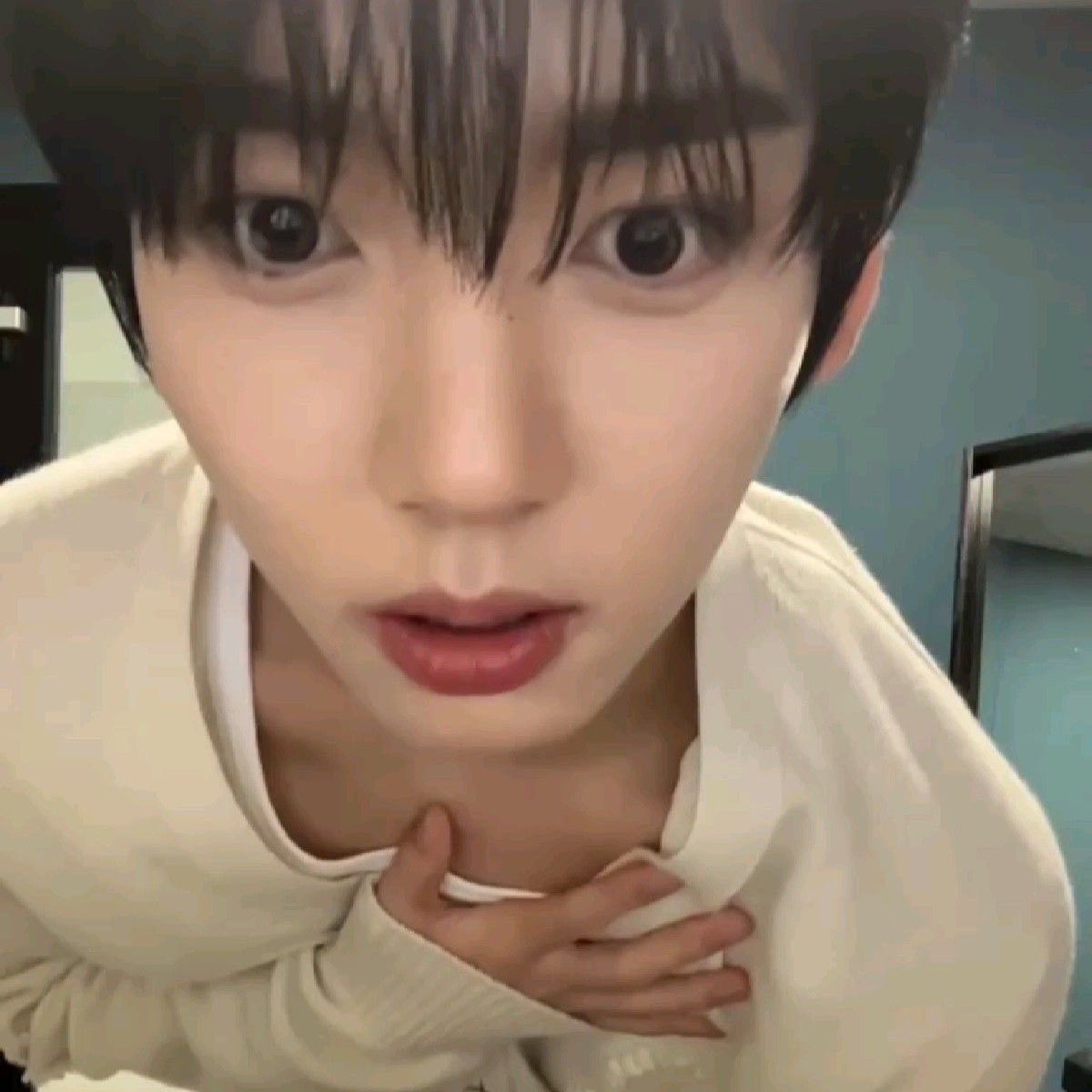 [잡담] 제베원 막콘?무슨소리야 인블룸 사녹 가자 | 인스티즈