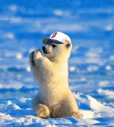 [잡담] 중심타선이 살아나길 기도해드릴게요🙏 | 인스티즈