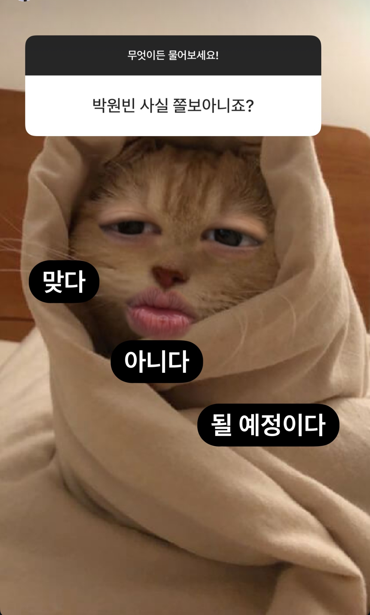 [잡담] 라이즈 만우절 기대된다 | 인스티즈