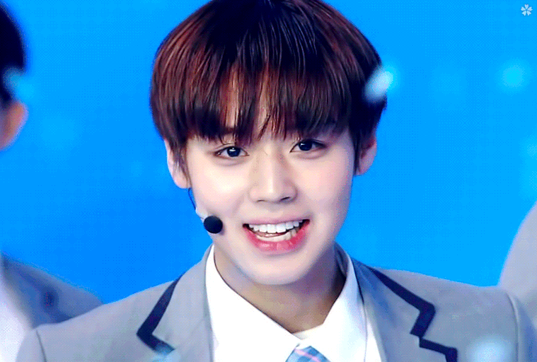 [잡담] 그러니깐 박지훈 커리어 한번에 보면 이렇다는거지 | 인스티즈