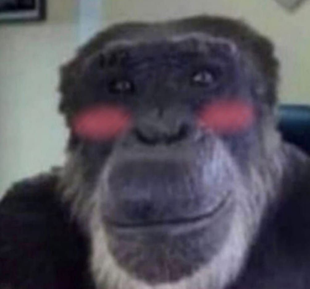 [잡담] 저기 지나가는 누나? 꽃한송이 받고가요 | 인스티즈