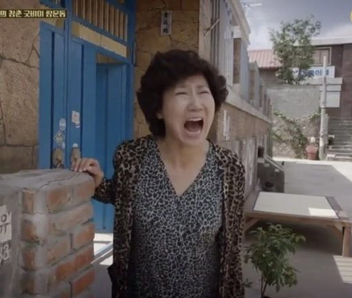 [잡담] 늑구야 너 지금 시간이 몇신데 아직도 안들어와 | 인스티즈