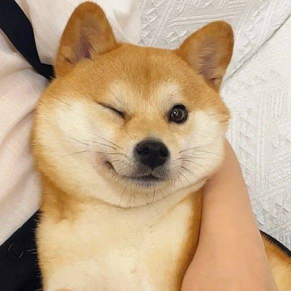 [잡담] 🫢🫢울산익 동서발전 현차생산직 에너지공단...소개팅 누가나아?!!!!💕💕💓 | 인스티즈