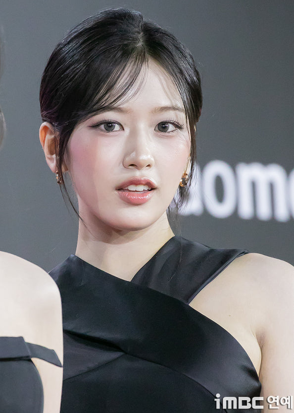 [잡담] 우리나라에서 뜨려면 뭔가 친근한? 이미지가 필수인듯 | 인스티즈
