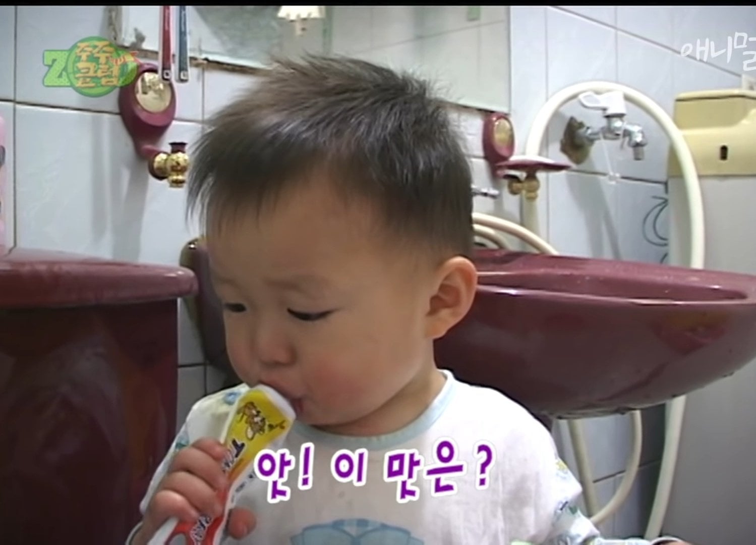 [잡담] 익들 주주클럽 응도 알아? 응도아기 | 인스티즈