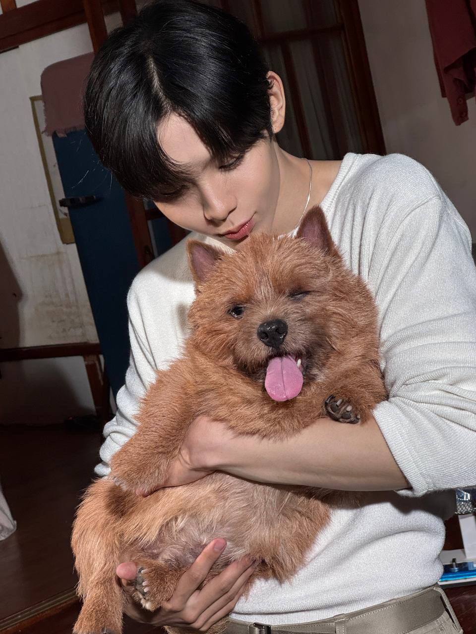 [잡담] 쇼타로의 디저트2 나왔으면 좋겠다 | 인스티즈