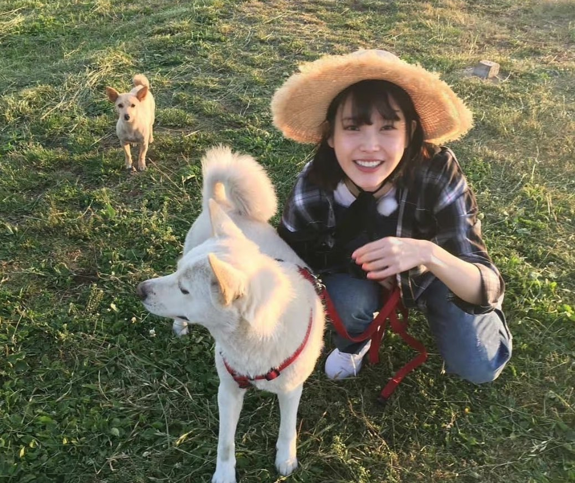 [잡담] 아이유와 강아지 조합은 너무 힐링됨 | 인스티즈