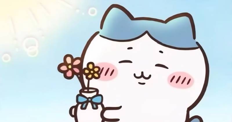 [잡담] 기분 좋은 날들만 가득하기를 | 인스티즈