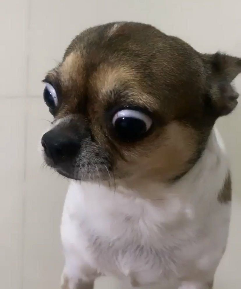 [잡담] 여기서 왓슨 엘지갈까 한화갈까 안올까 투표 했었는데 | 인스티즈
