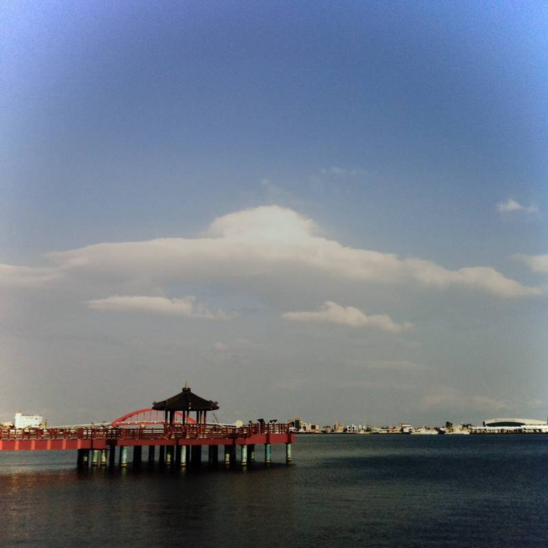 [정보/소식] 아이폰4로 찍은 사진들 | 인스티즈