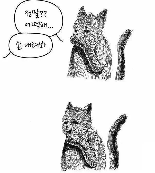 [잡담] 멋진신세계) 지금 멋세계 달리는 익들 상태 | 인스티즈