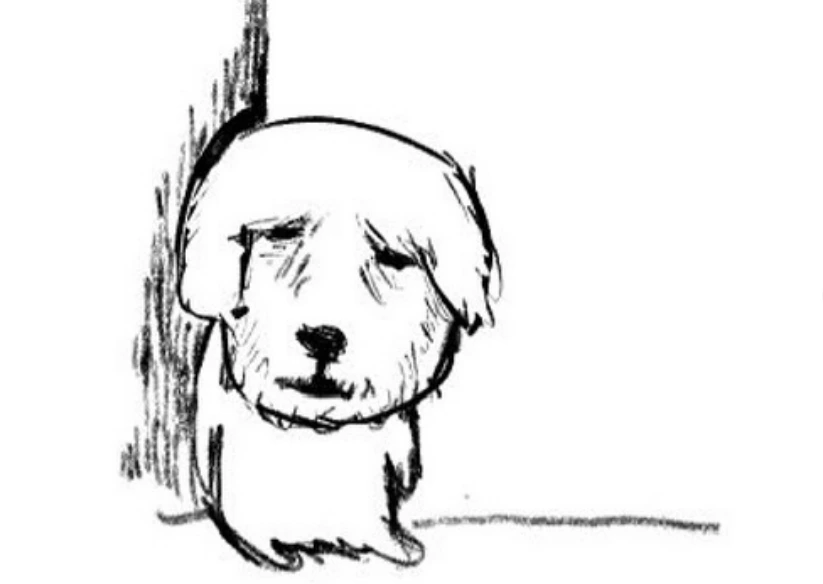 [잡담] 가나디 이 캐릭터는 왜 인기 많은거야??? | 인스티즈