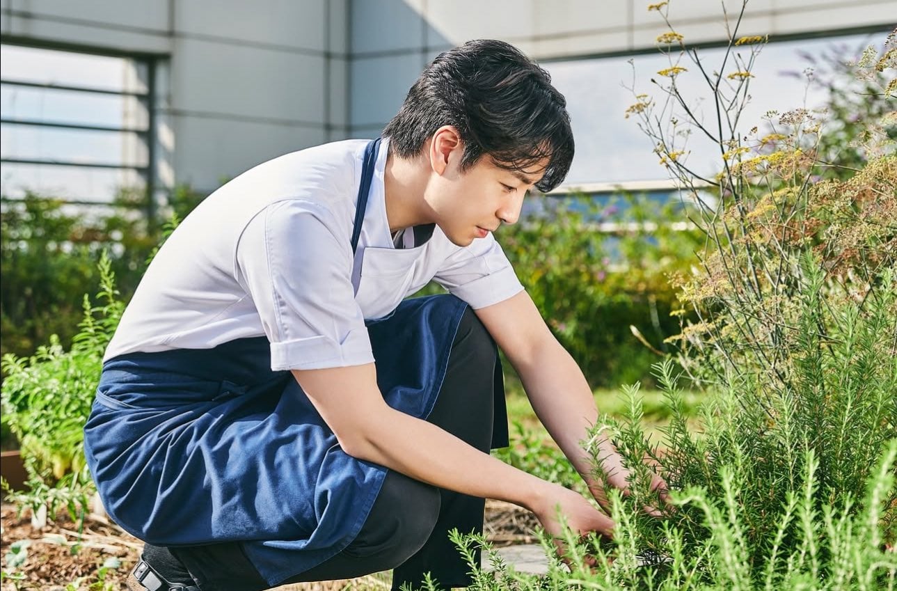 [잡담] 손종원 옆에 매번 꽃, 식물 가져다놓는거 개좋다 | 인스티즈