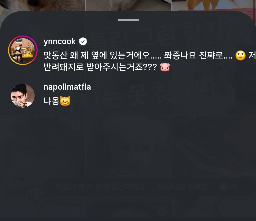 [잡담] 손종원 차마 남노한테 돼지라고는 말 못하겠나 봐ㅋㅋㅋㅋ | 인스티즈