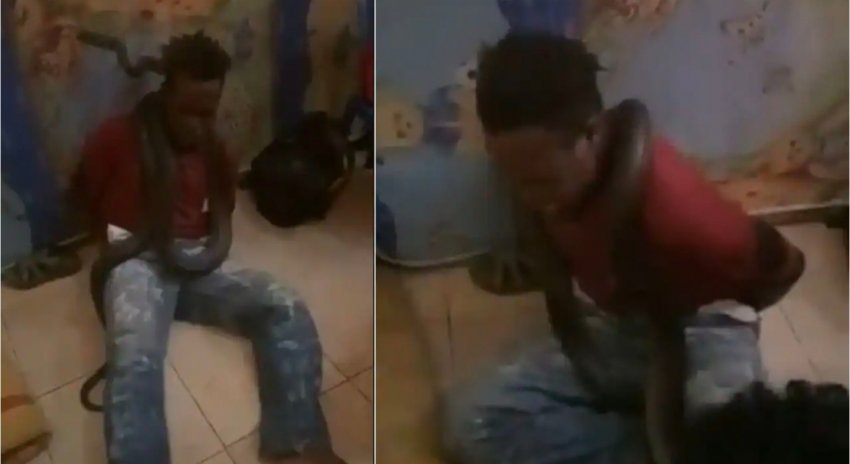 [잡담] 인도네시아에 파푸아인이라고 소수민족 있는데 때리고 그러더라 | 인스티즈