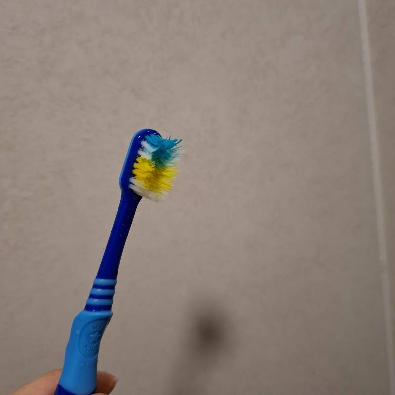 [잡담] 칫솔 이 정도면 바꿀거야? | 인스티즈