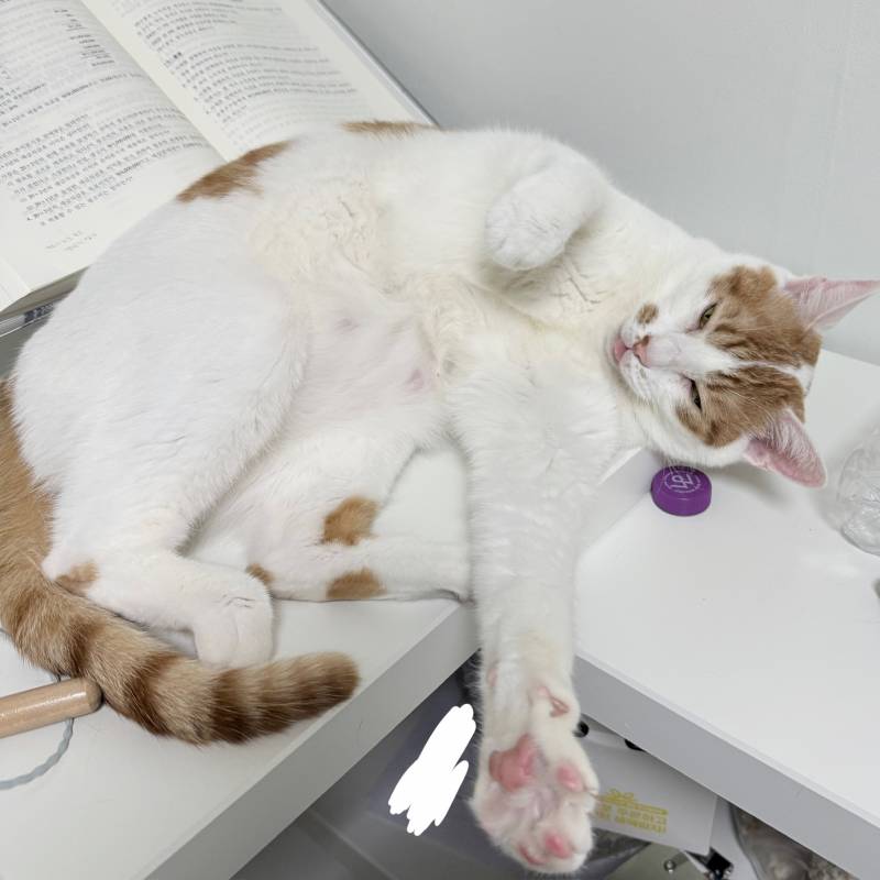 [잡담] 못생김 | 인스티즈