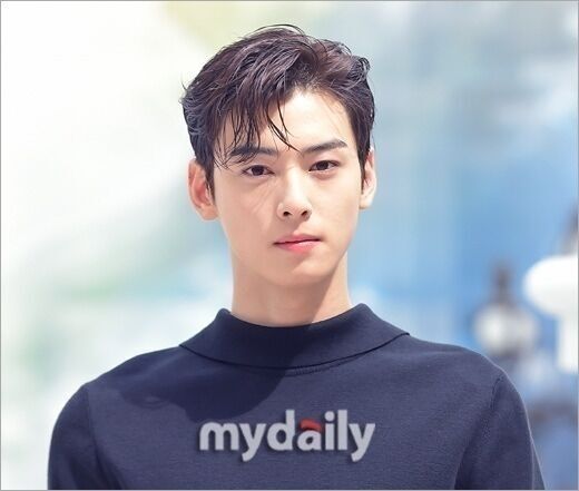 [잡담] "故 이선균 사례 반복 안돼" 시민단체, '차은우 탈세의혹' 정보 유출자 고발[MD이슈] | 인스티즈