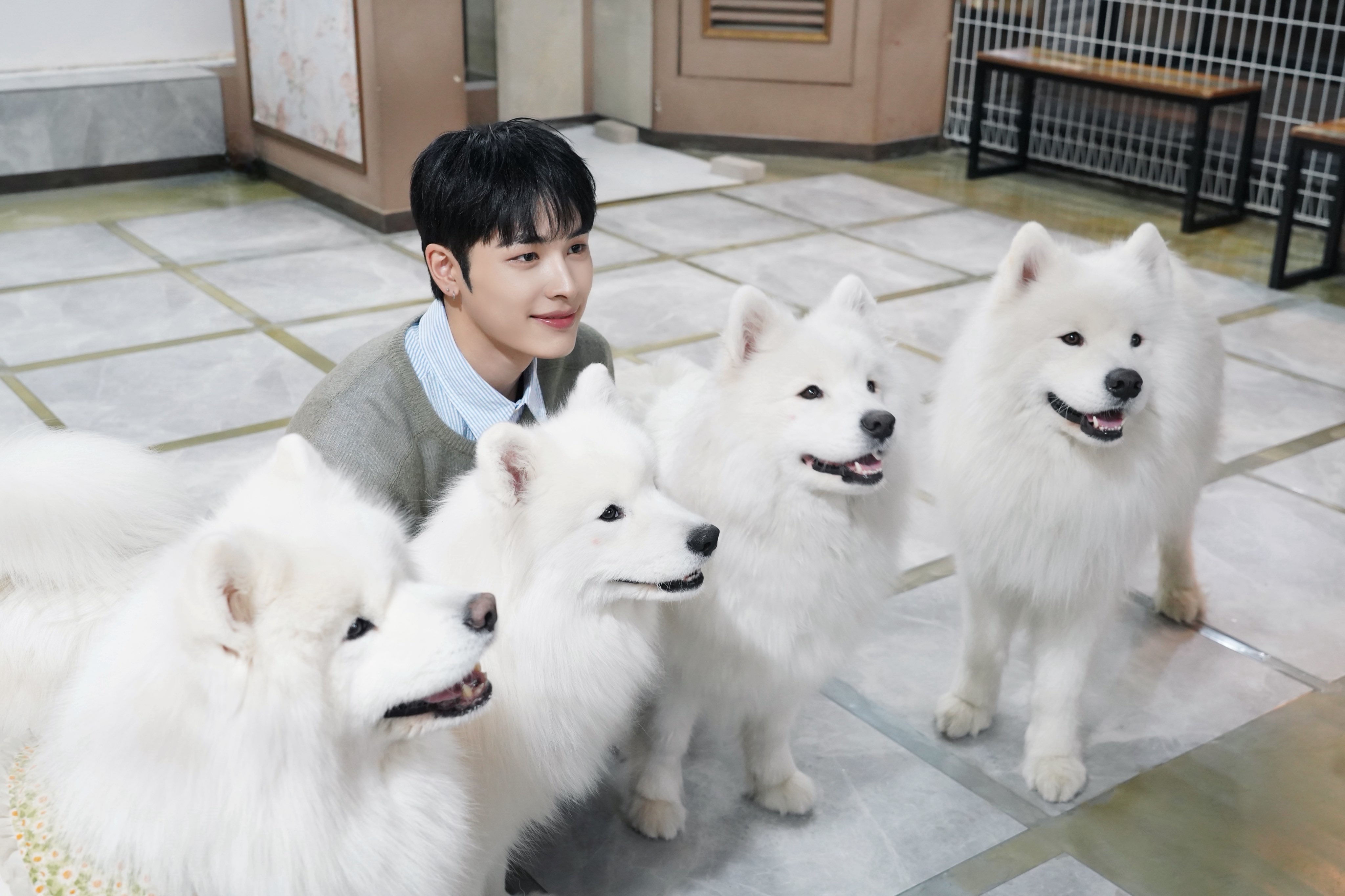 두쫀김밥 ASMR 하는데 얼굴이 너무 잘생김... | 인스티즈