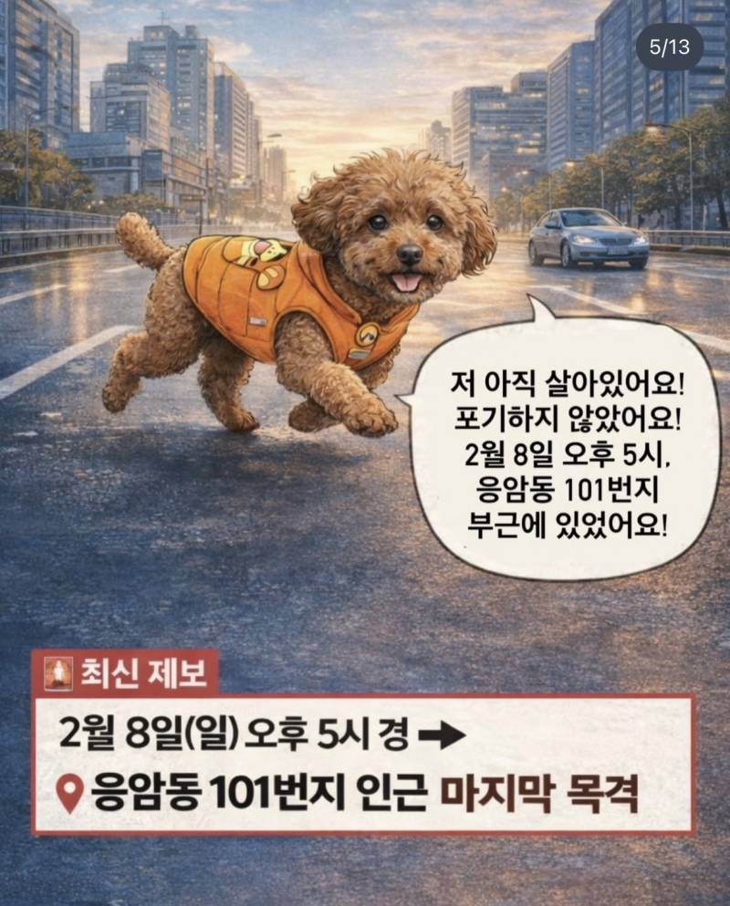 [잡담] 은평구 응암동 주변 사시는 분들 ✨✨✨복동이라는 강아지를 유심히 봐주세요 ‼️‼️‼️ | 인스티즈