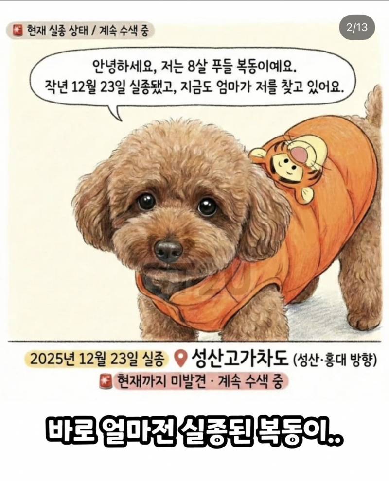 [잡담] 은평구 응암동 주변 사시는 분들 ✨✨✨복동이라는 강아지를 유심히 봐주세요 ‼️‼️‼️ | 인스티즈