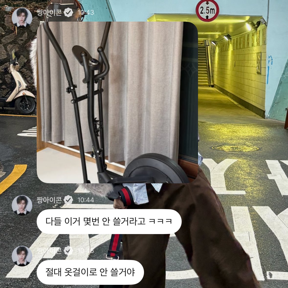 [잡담] 여기 위에화즈 새 숙소인가봄 | 인스티즈