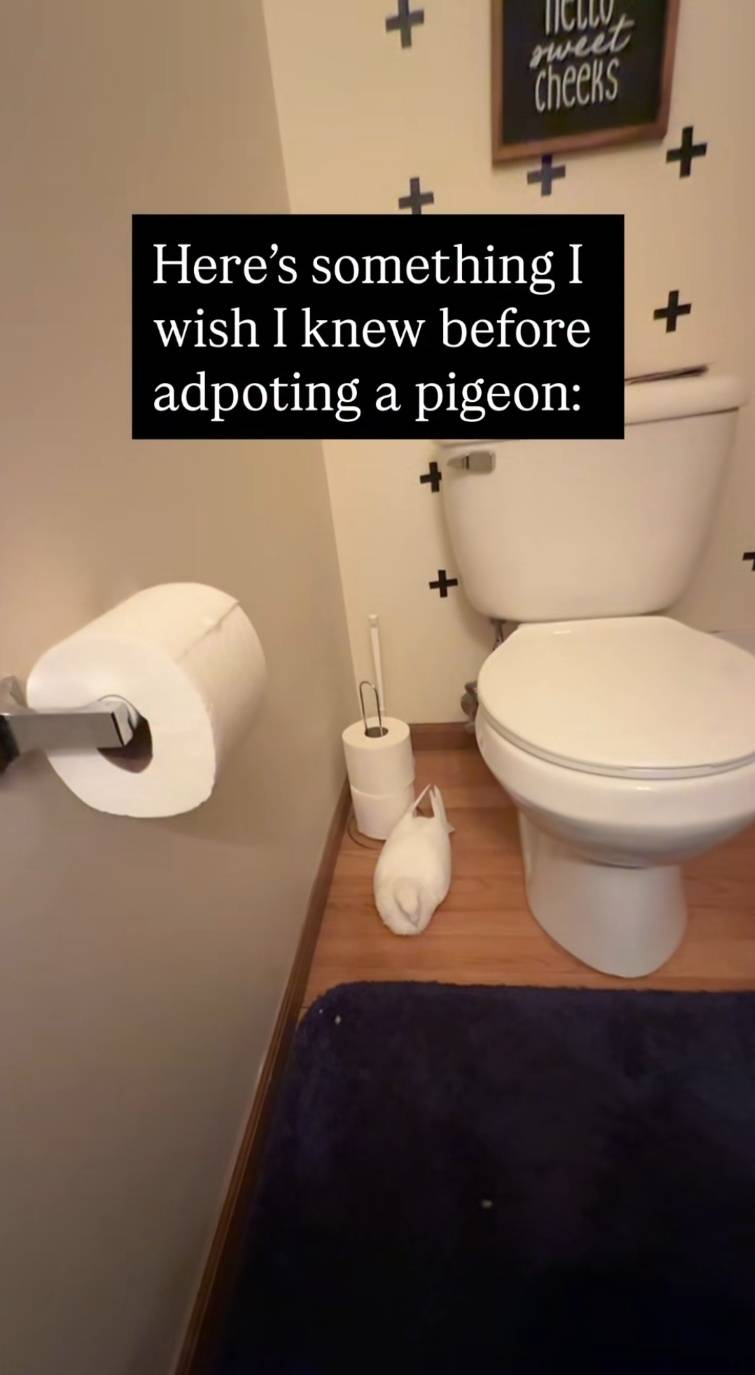 [잡담] 외국은 변기에 장판깔아놔?? | 인스티즈