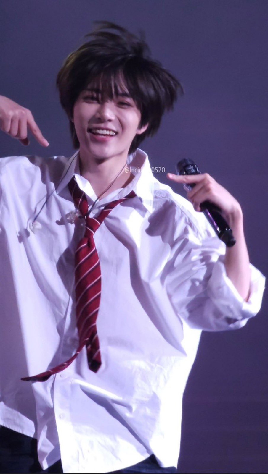 [잡담] 최범규는 ㄹㅇ 관념적 소형견 강쥐임 | 인스티즈