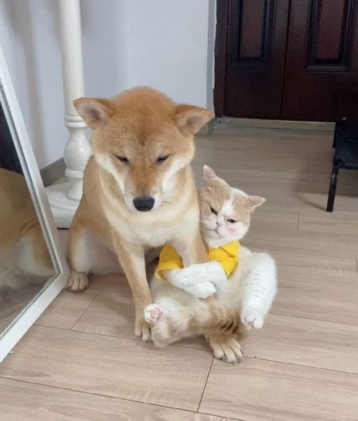 [잡담] 대군부인) 대군쀼 | 인스티즈