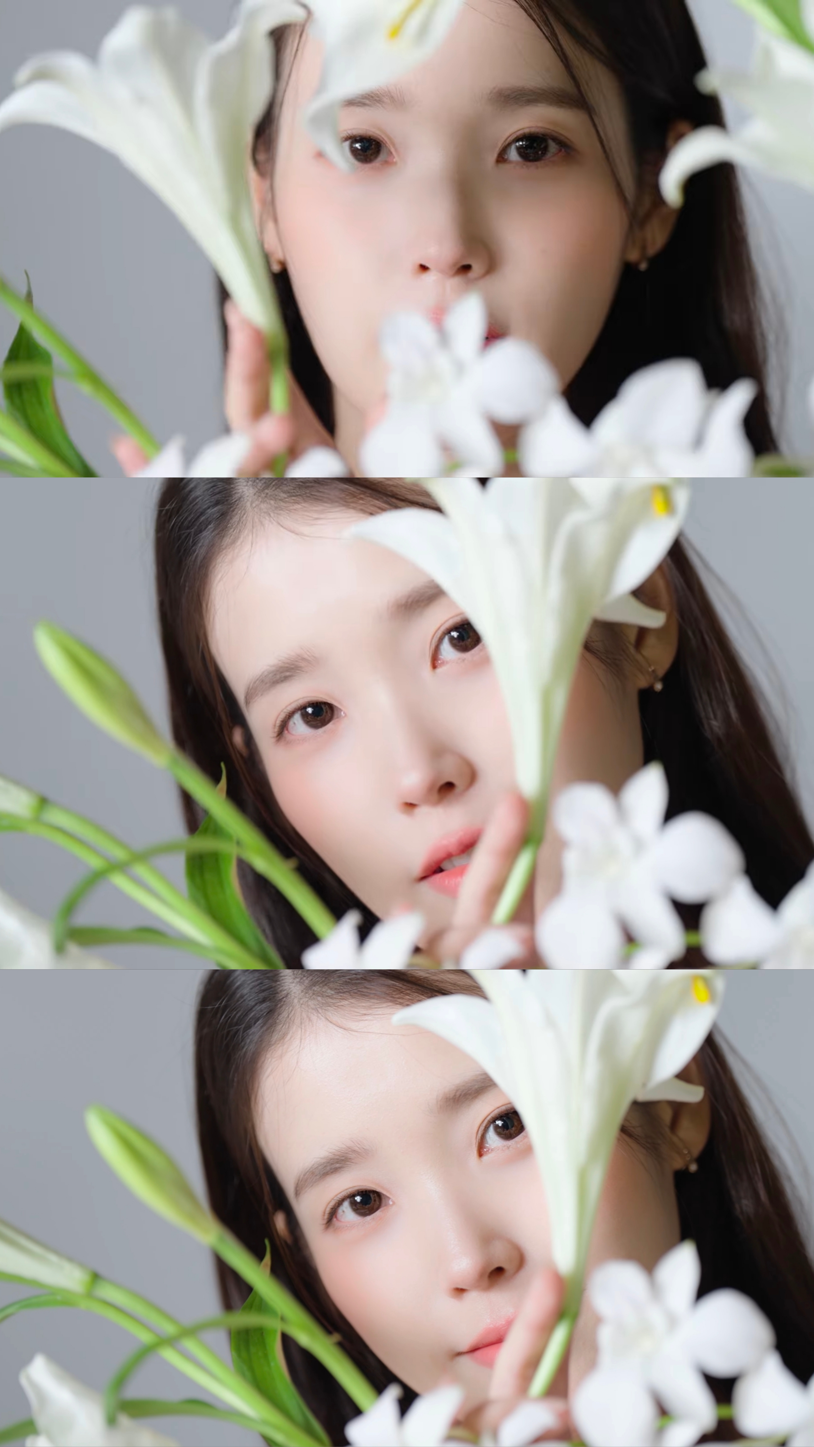 [잡담] 아이유×제티는 대체 뭘까 | 인스티즈