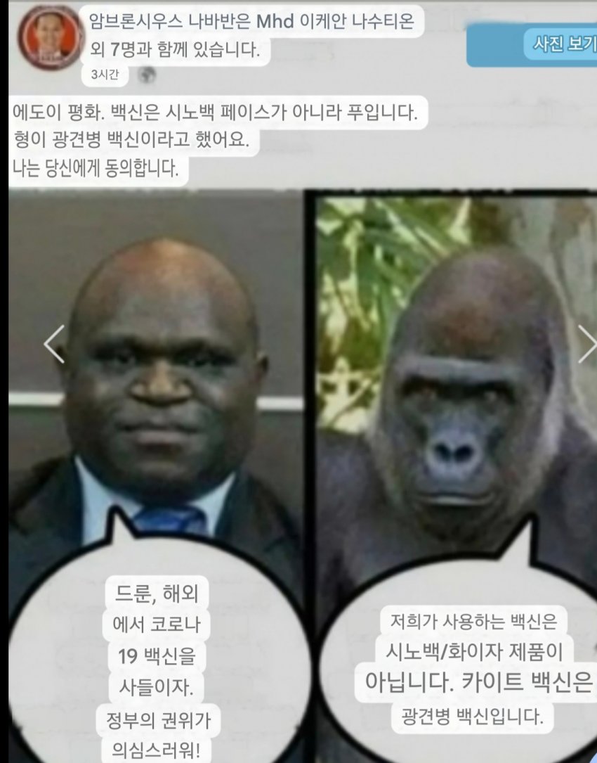 [잡담] 인도네시아 정치인, 파푸아 인권운동가 옆 고릴라 사진 올려 조롱 | 인스티즈