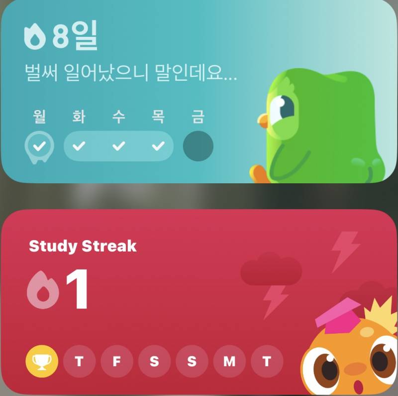 [잡담] 듀오링고나 스픽 하는 사람? 며칠연속임??? | 인스티즈