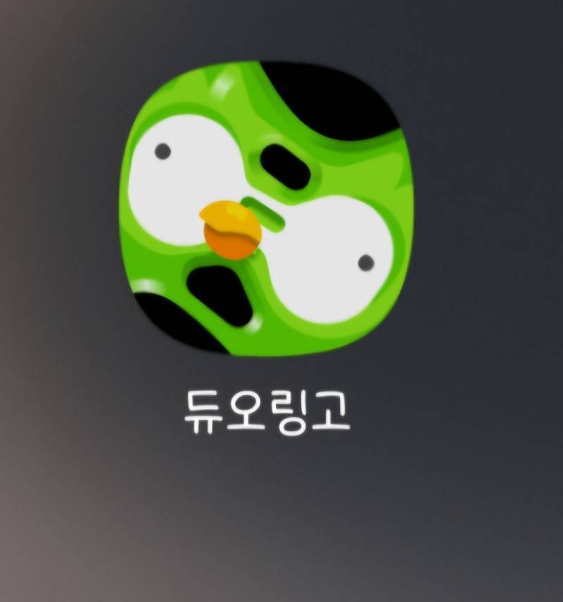 [잡담] 아니 듀오링고 반갈죽 뭔데 개무서워;; | 인스티즈