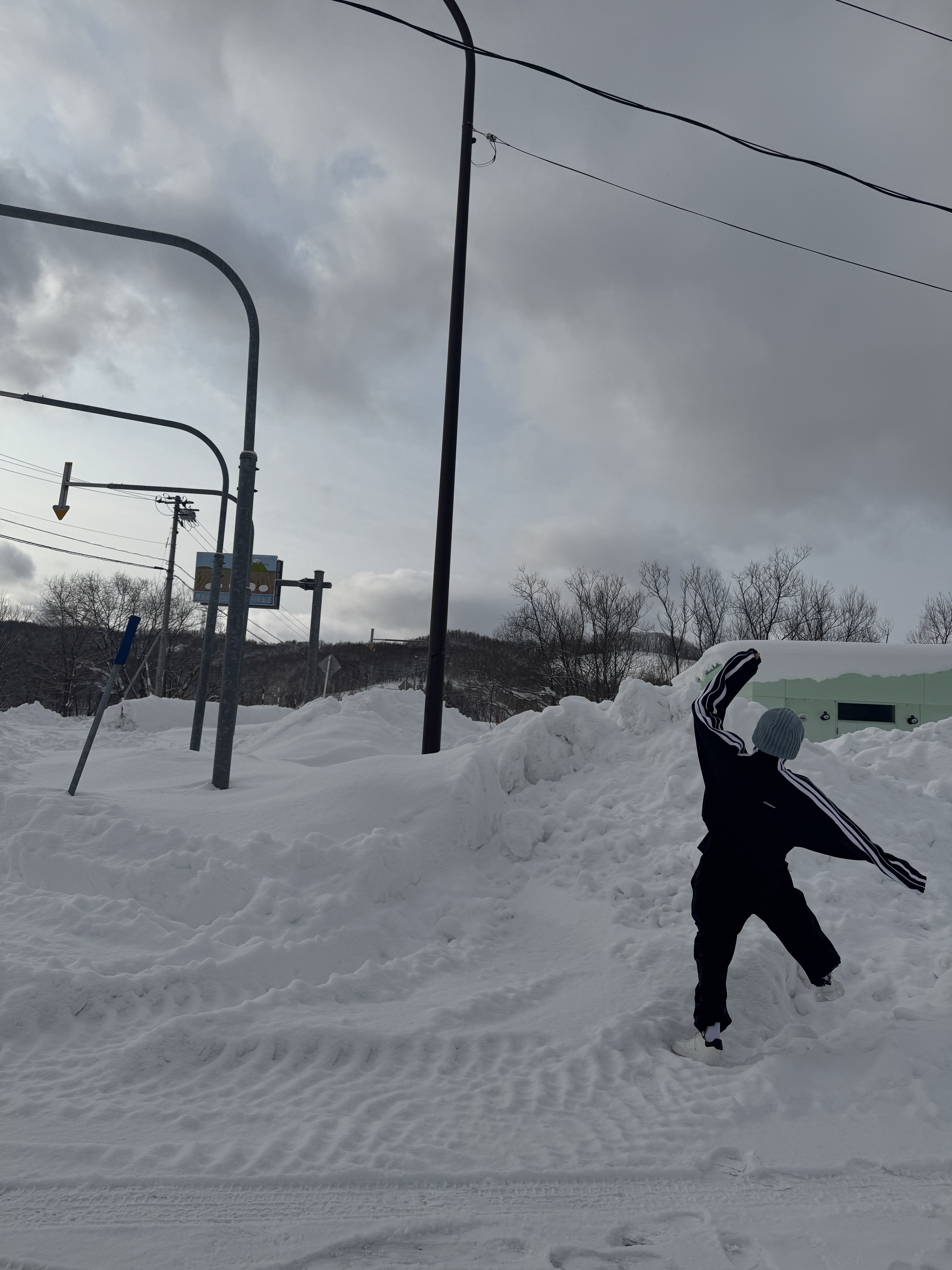 [잡담] 눈밭의 불가사리 | 인스티즈