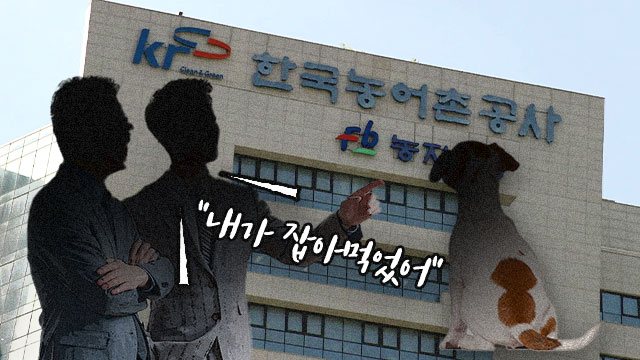 [정보/소식] 입양 보냈더니 "잡아먹었다?”…공공기관서 사라진 강아지 가족 | 인스티즈
