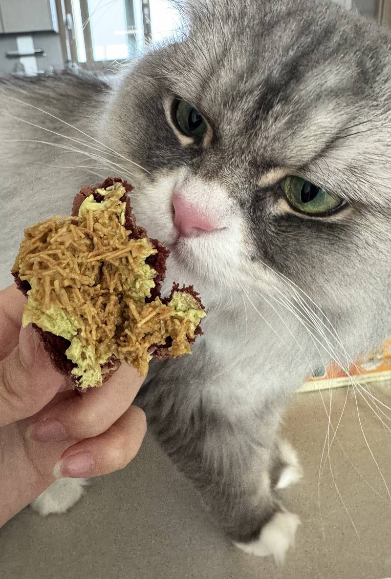 [잡담] 씨유 카다이프 쫀득 마카롱 미쳤는데?? | 인스티즈