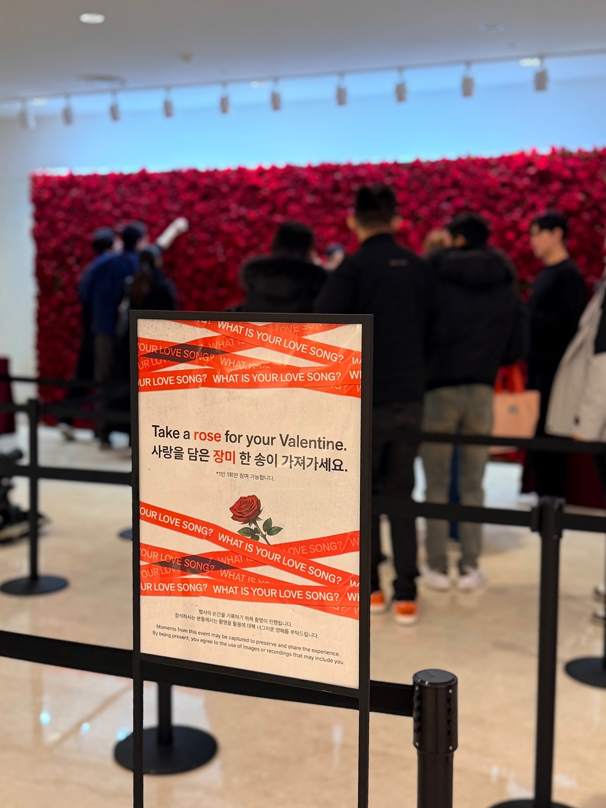지금 코엑스 가면 받을 수 있는 방탄 장미꽃🌹🌹🌹 | 인스티즈