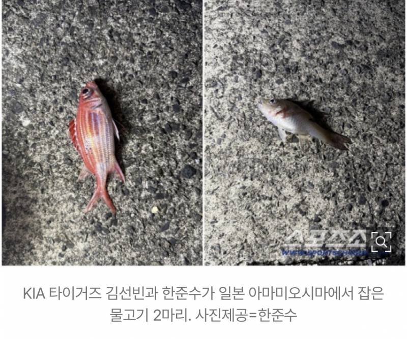 [잡담] 외딴섬 KIA 3인, 왜 낚싯대 들었나…"라면 끓여 먹으려고 냄비도 샀는데" | 인스티즈