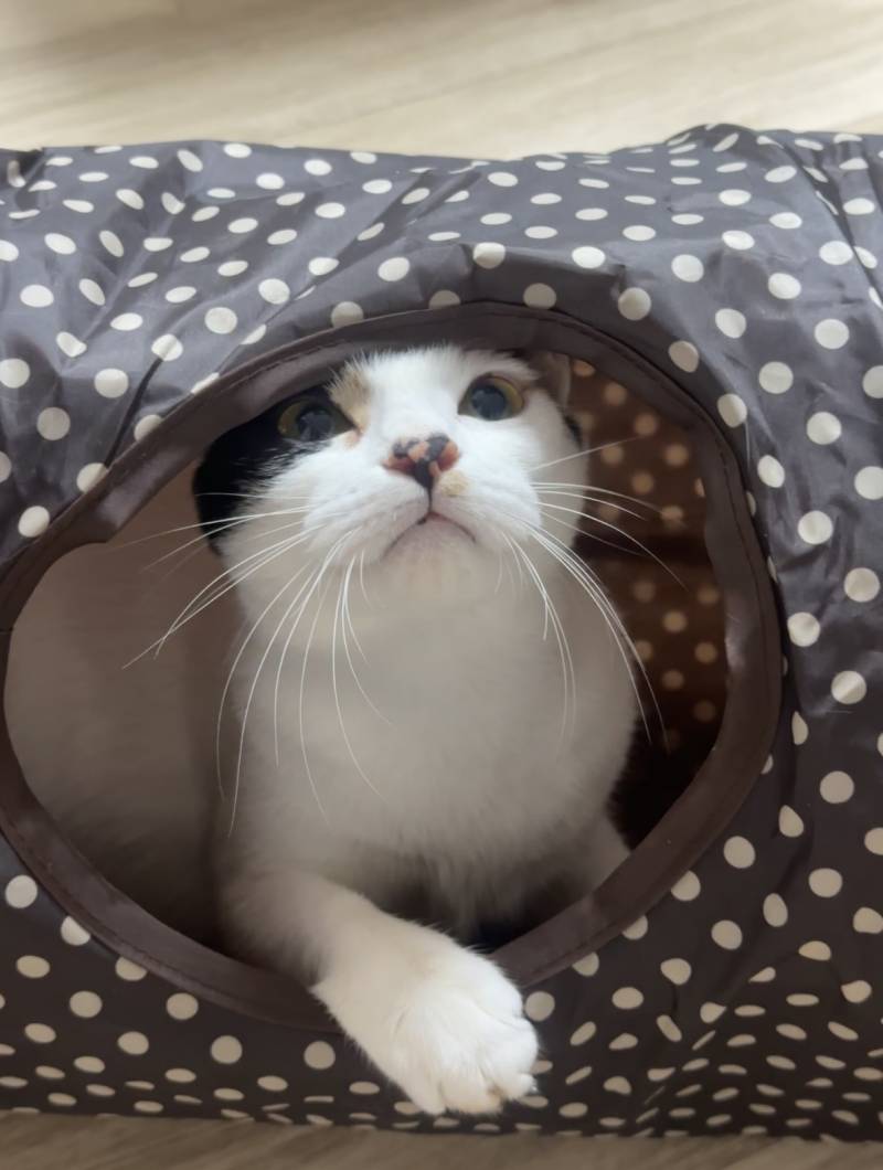 [잡담] 햅삐 연휴 | 인스티즈