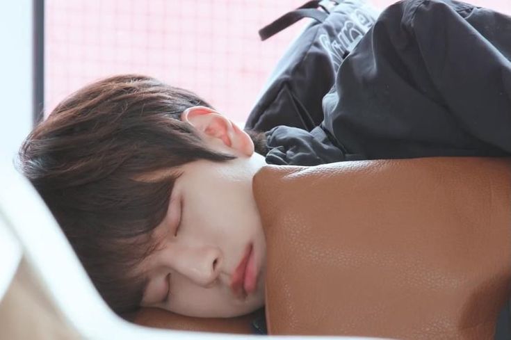 [잡담] 뭐야 잠자는거 개귀여워 | 인스티즈