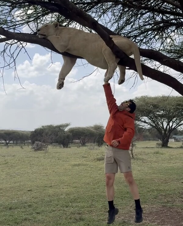 [정보/소식] 노홍철이 올린 문제의 사진…약에 취한 사자와 인증샷 논란 [스한:이슈] | 인스티즈