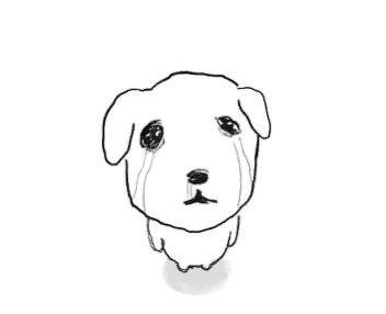 [잡담] 살빼면 진짜 이쁜데 | 인스티즈