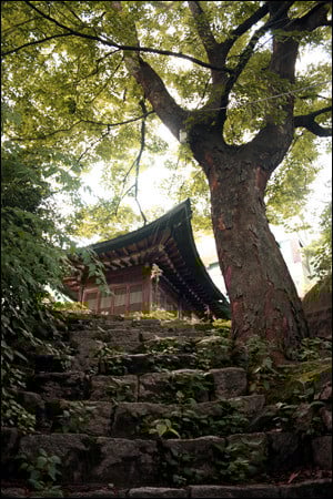 [정리글] 세조가 죽인 안평대군은 조선 최고의 명필이었음 | 인스티즈