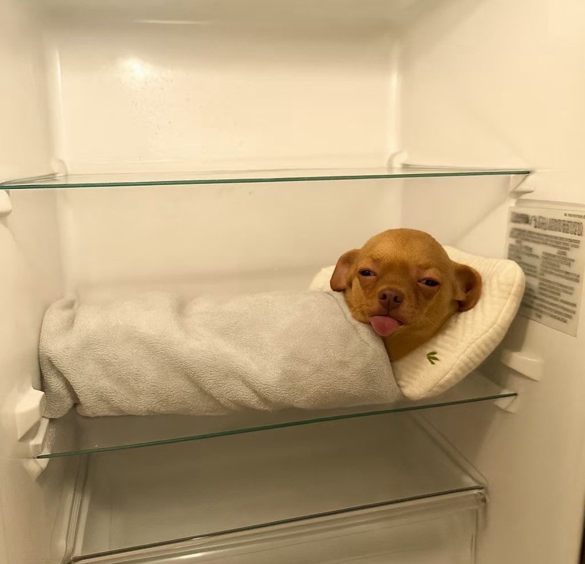 [잡담] 다들 명절이라고 어디감? | 인스티즈