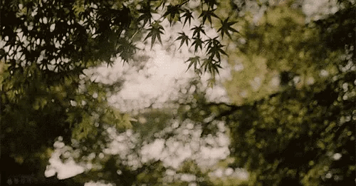 [HQ/시뮬] LINK Ch.1-1 | 인스티즈