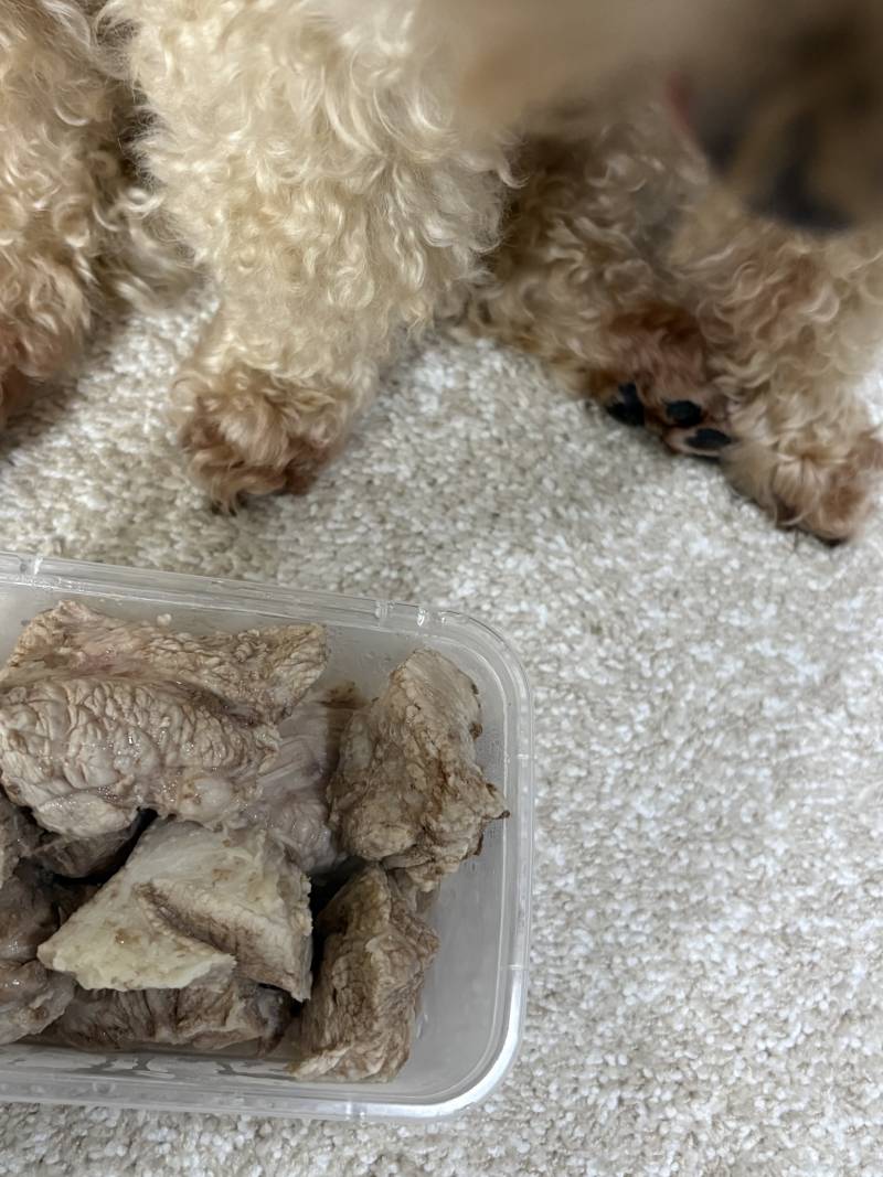 [잡담] 돼지갈비 하면서 강아지 고기도 몇개 빼둠ㅋㅋㅋ | 인스티즈