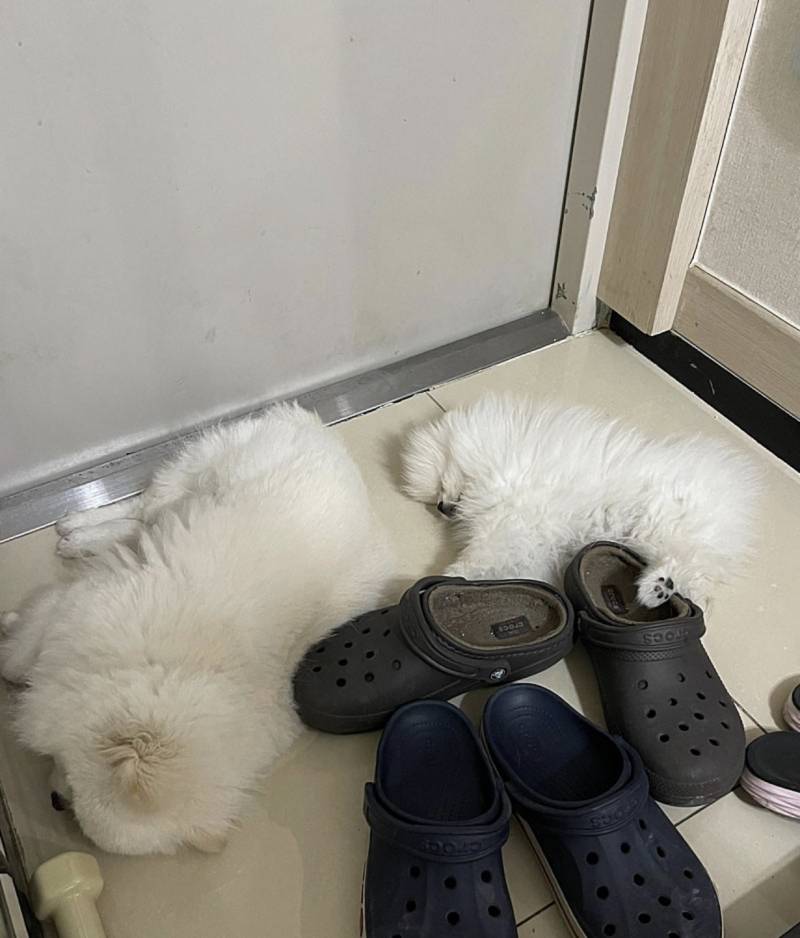 [잡담] 하..절도죄로 신고당했는데 남편이 알수있어?ㅜㅜ | 인스티즈