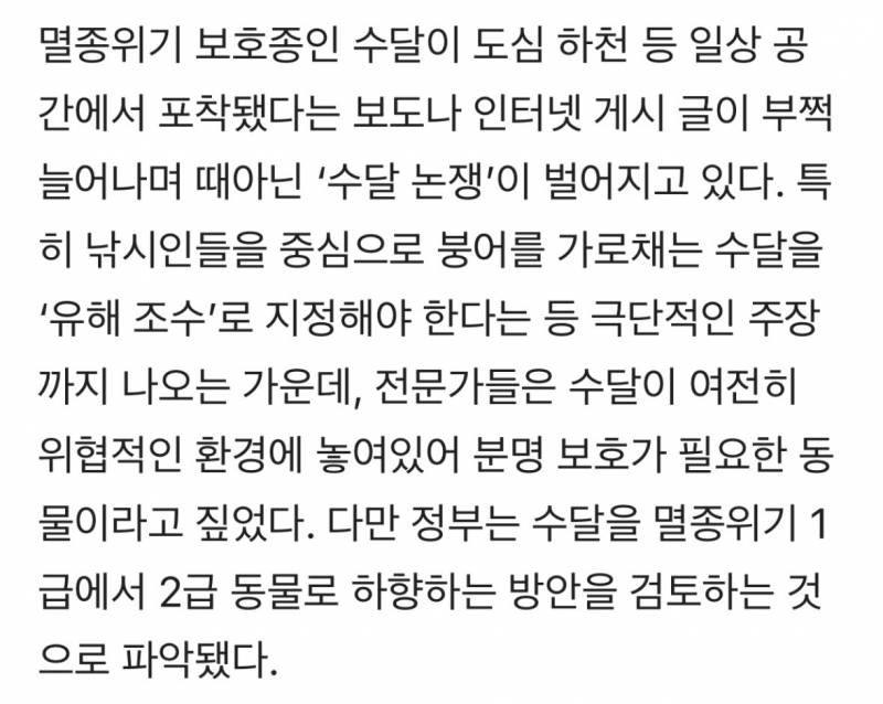 붕어 좀 잡아먹는다고 유해조수라니…1급 위기종 수달의 서글픔 | 인스티즈